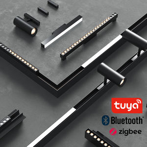 Zigbee Bluetooth Smart Magnetic Lighting Fixtures Smart Grille Lights Floodlights Pendant Lights Etc